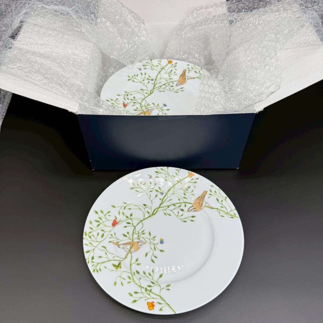 RAYNAUD ヒストリーナチュール　ブラウンバード22cm 6枚セット　箱付