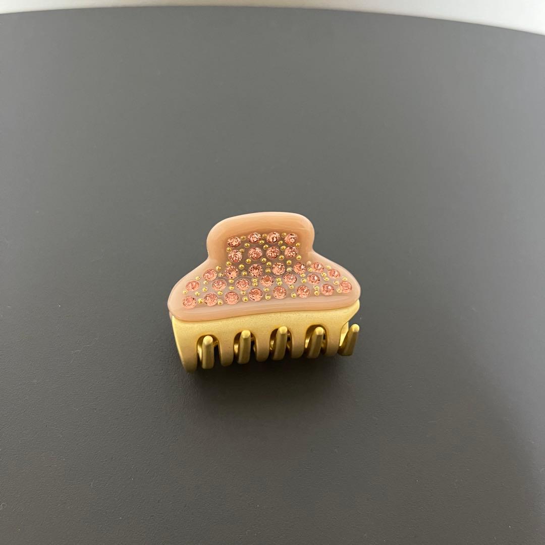 【新品未使用】アレクサンドルドゥパリ　ヴァンドーム　Sクリップ　限定　日本未入荷