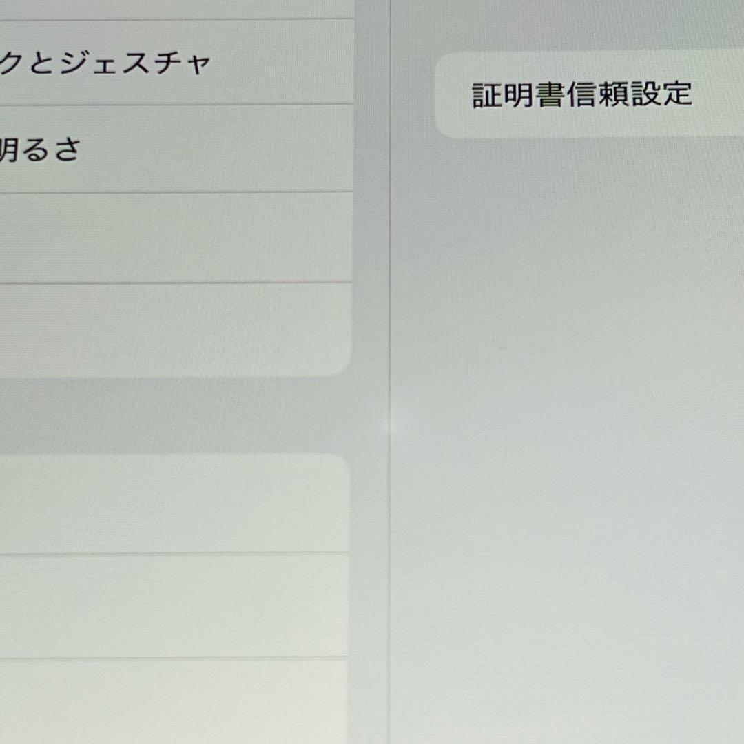 【ホワイトスポットあり】iPad Air（第5世代） 256GB Wi-Fi本体