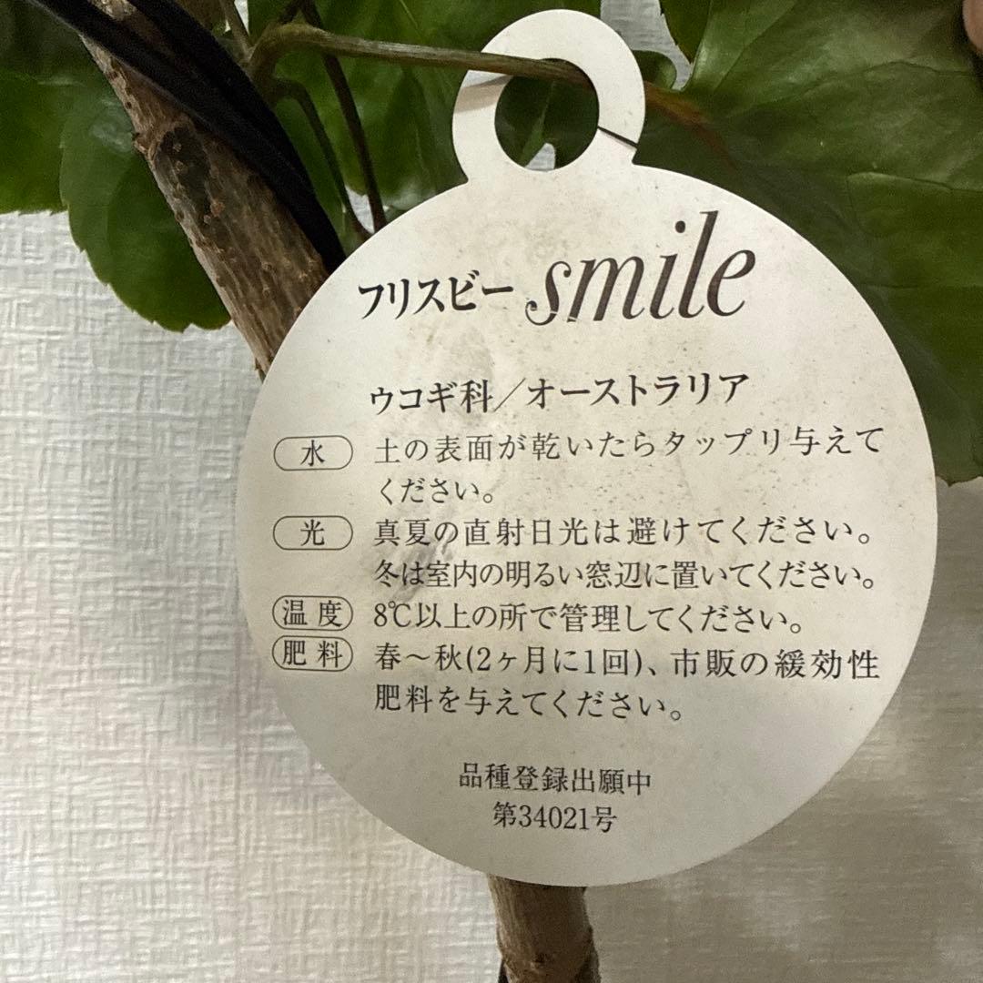 ポリシャス フリスビー スマイル