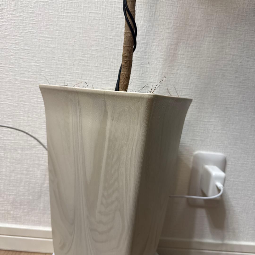 ポリシャス フリスビー スマイル