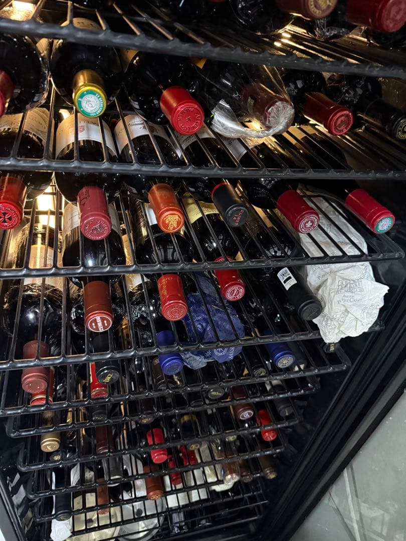 サッシカイア 2016年