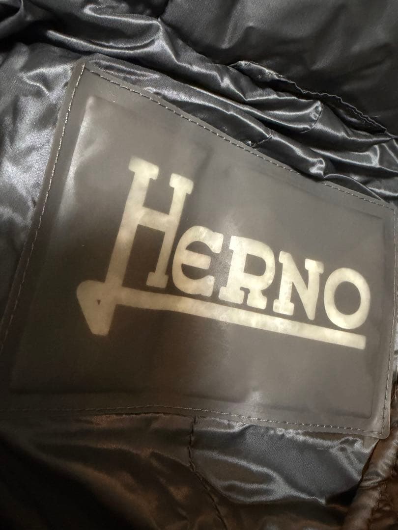 美品　ヘルノ HERNO ダウンコート n-3b 型　48