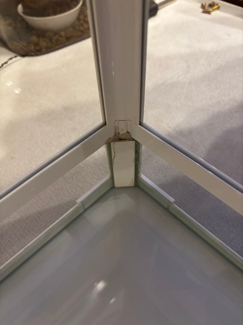 【飼育セット/箱付き】パンテオン ＷＨ４５３５ 飼育セット