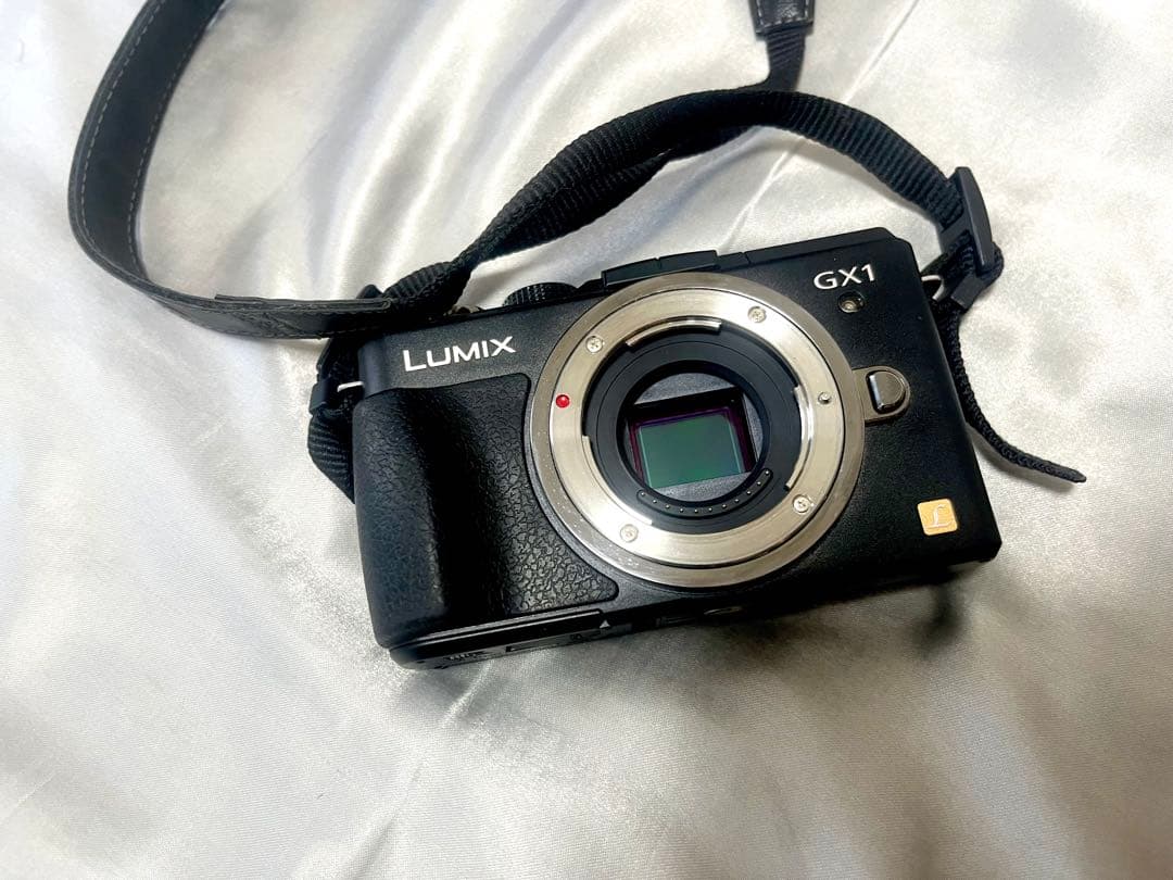 LUMIX GX1 12-32mm ズームレンズセット