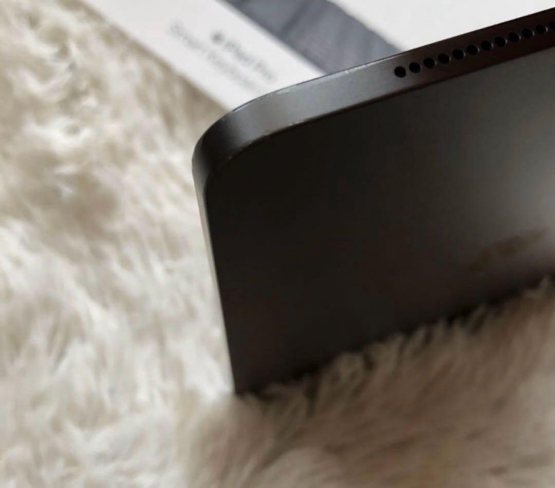 【1/27販売終了】iPad Pro 11 第1世代 256GB 【すぐ発送】