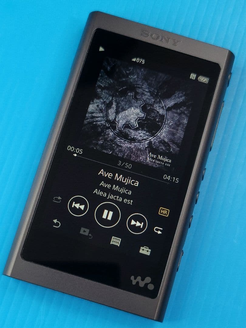 【極美品】SONY WALKMAN NW-A55（B） グレイッシュブラック