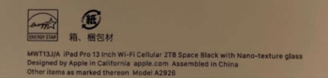 【apple care加入済 残約２年】iPadPro 13インチ 2TB M4