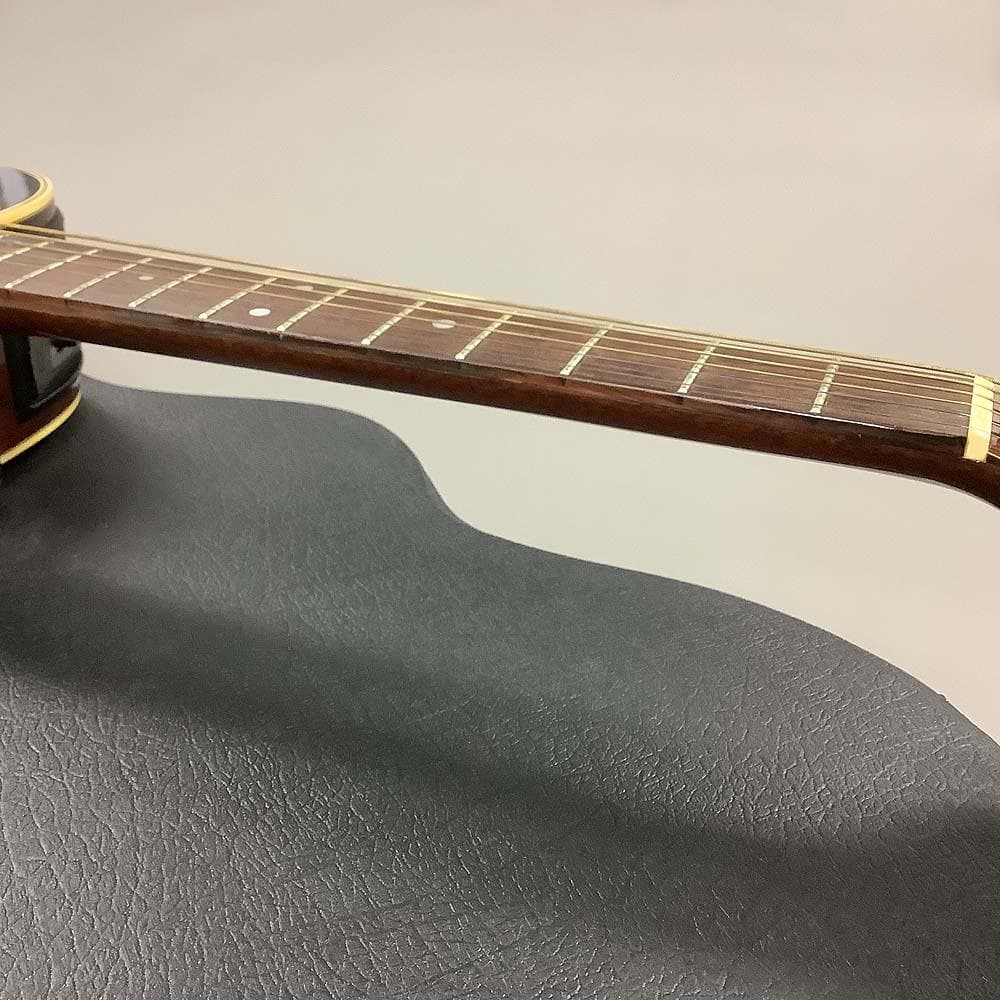 TAKAMINE エレアコ アコースティックギター PT-106 ハードケース付