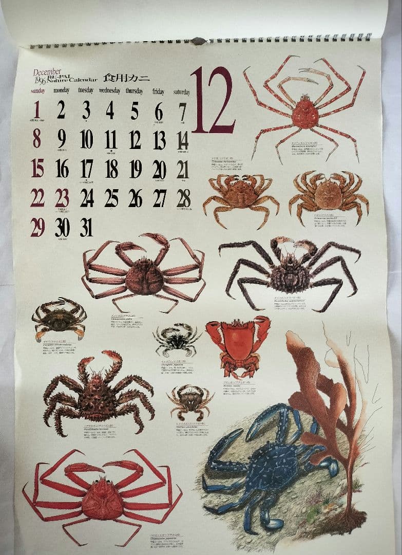 BE-PAL ビーパル カレンダー 新品未使用 1996年　ヴィンテージ