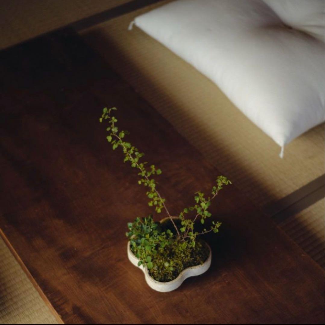 御茶屋跡 YAECA 丹羽ふとん店 白い 座布団 大 アーツ＆サイエンス