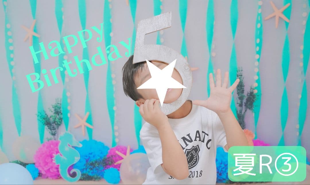 背景布【紫陽花C】サンプル　ペット、トリミング、キッズ撮影用フォトブース　梅雨