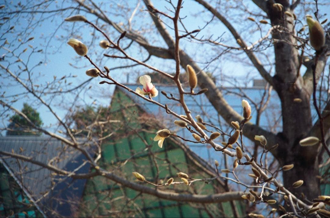 OLYMPUS 35 RC 整備品、 テスト撮影済み　342990