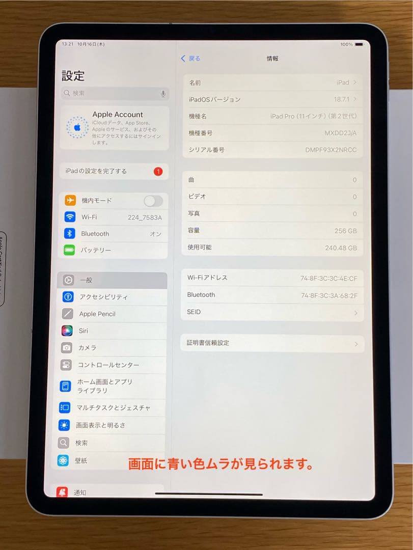 iPad Pro 11インチ第2世代 256GB 動作確認済　iPad 本体