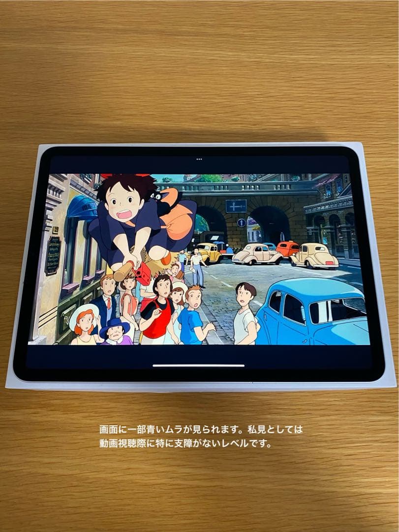 iPad Pro 11インチ第2世代 256GB 動作確認済　iPad 本体