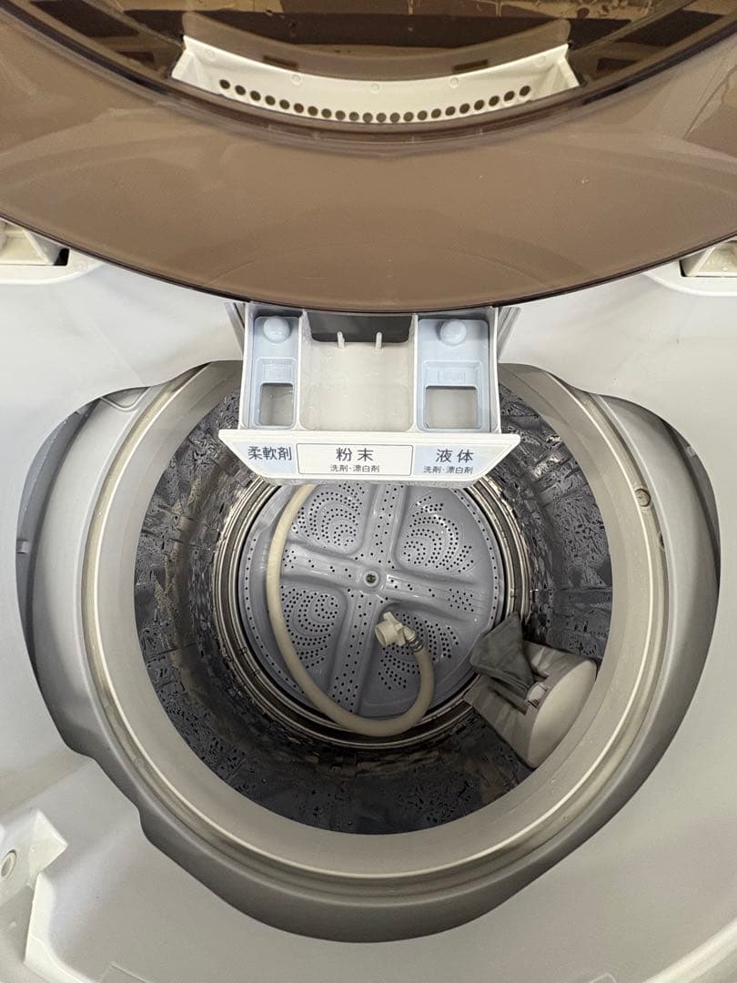SHARP 2020年 10キロ 洗濯機 分解洗浄商品 大容量