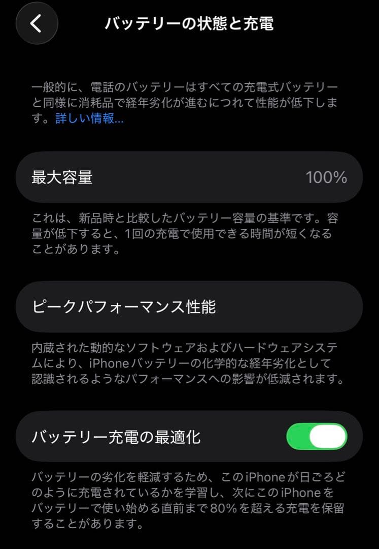 【純正バッテリー100%】Apple iPhone 13 Pro 256GB
