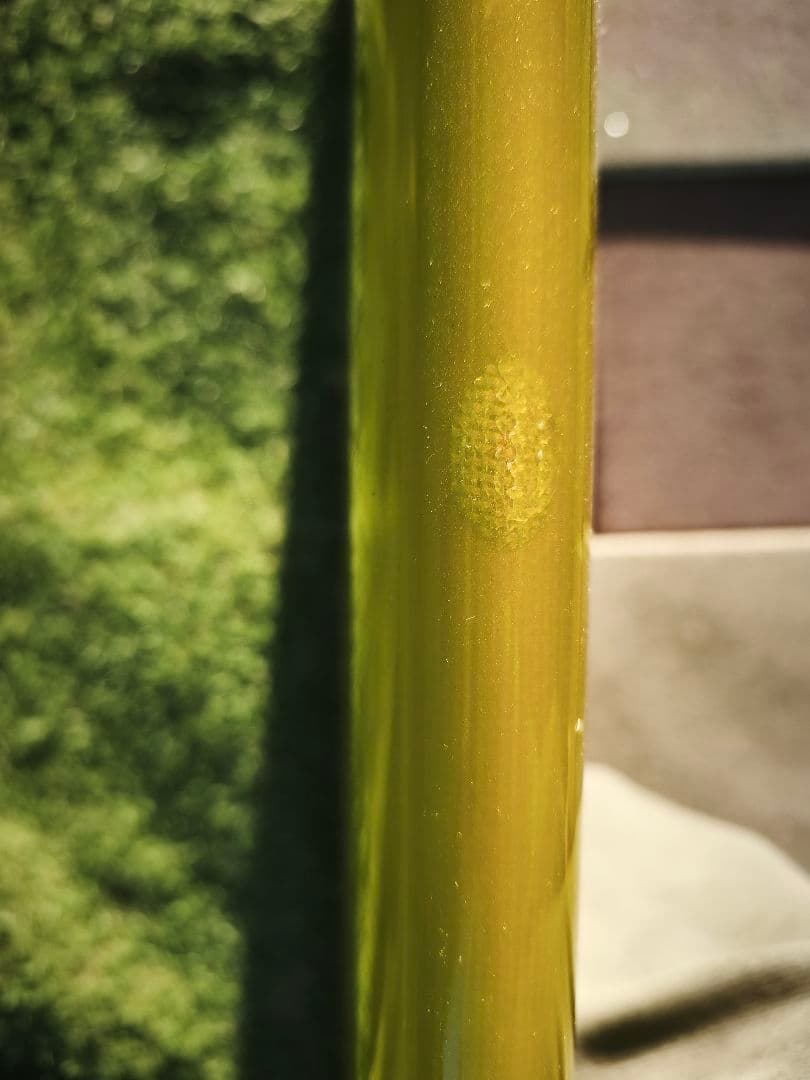 現地渡し限定) Chris Christenson Bonneville 9'8