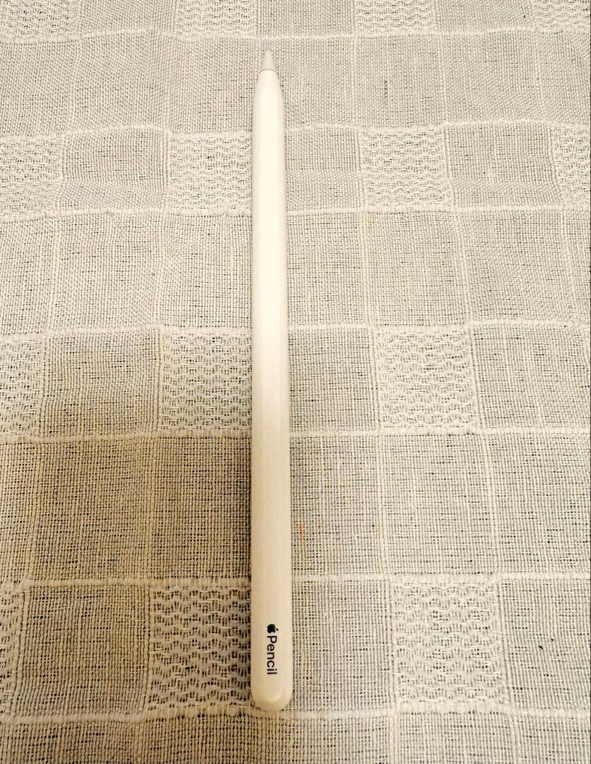 iPad Pro 11インチ第1世代256GB Apple Pencil第2世代