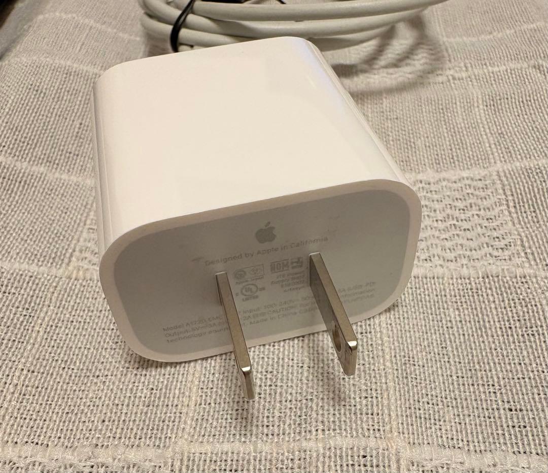 iPad Pro 11インチ第1世代256GB Apple Pencil第2世代