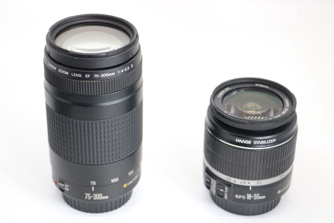 超美品 【Canon EOS Kiss X2 ダブルレンズセット】 安心返品保証