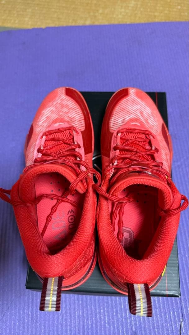 未使用28.5cm ウェイド　shadow 6 バッシュ　リーニン 花ノ町