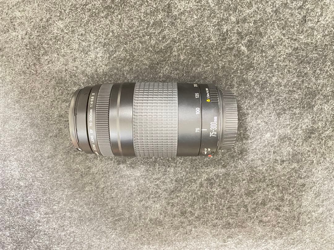 Canon EF35-80㎜ Ⅲ/EF75-300 Ⅱ/EOS kiss セット