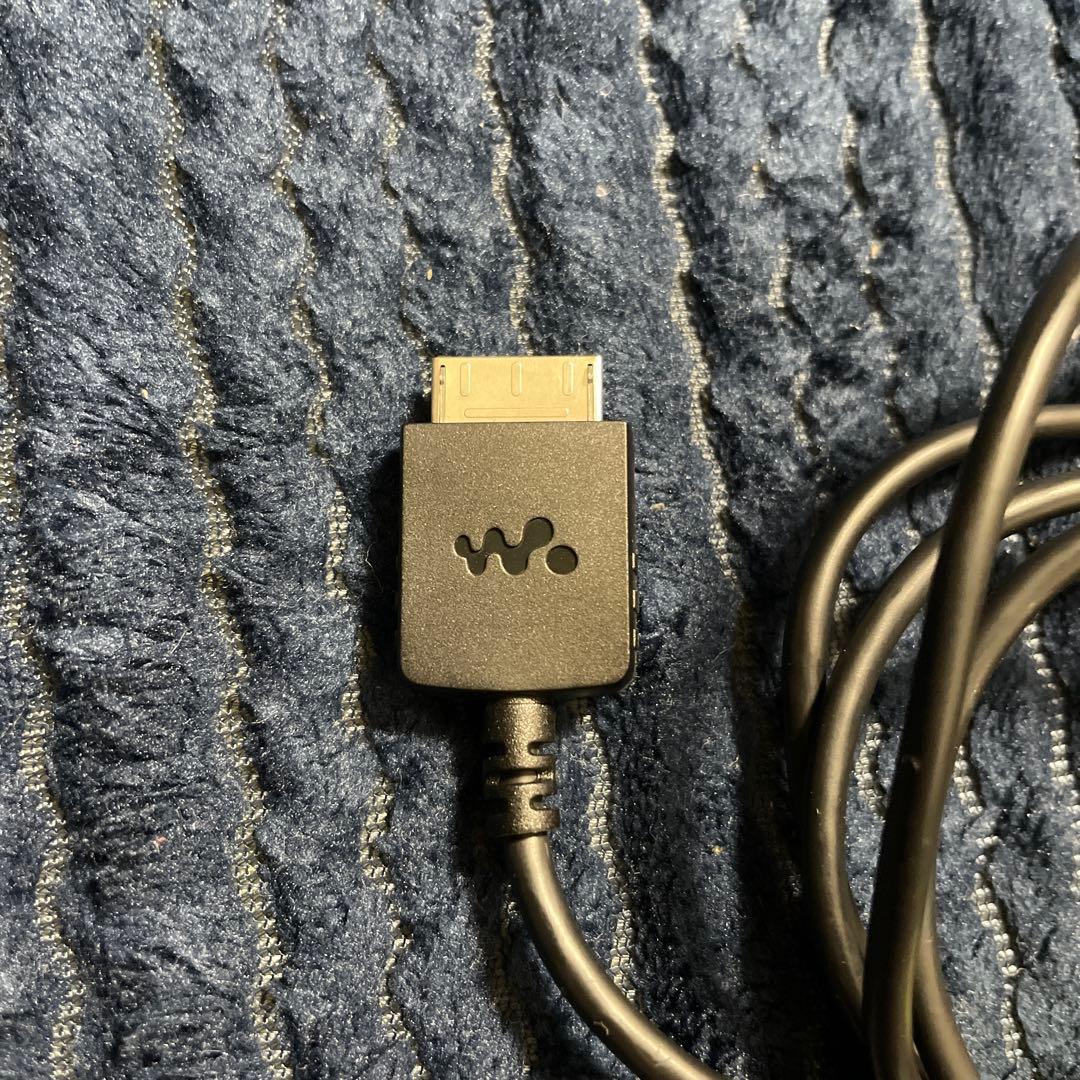 さ*ん様 SONY NW-WM1A 128GB デジタルオーディオプレーヤー　美