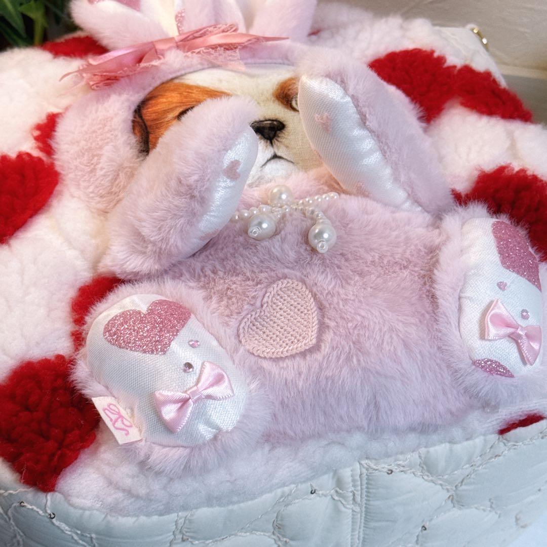 あ*き様 コヤンイサムチョン♡bigうさ着ぐるみアンコちゃんのハートのラウンドト