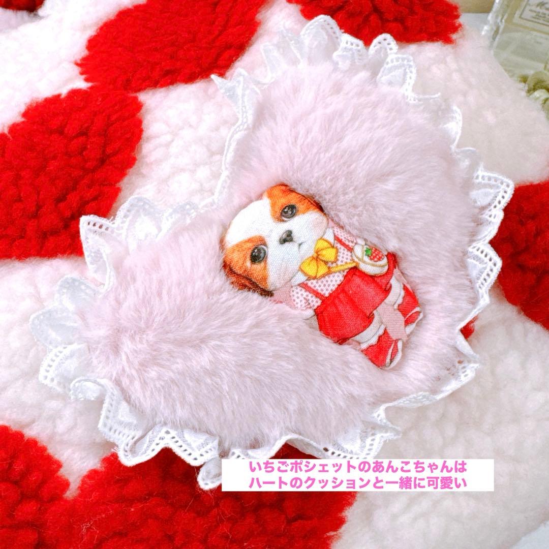 あ*き様 コヤンイサムチョン♡bigうさ着ぐるみアンコちゃんのハートのラウンドト