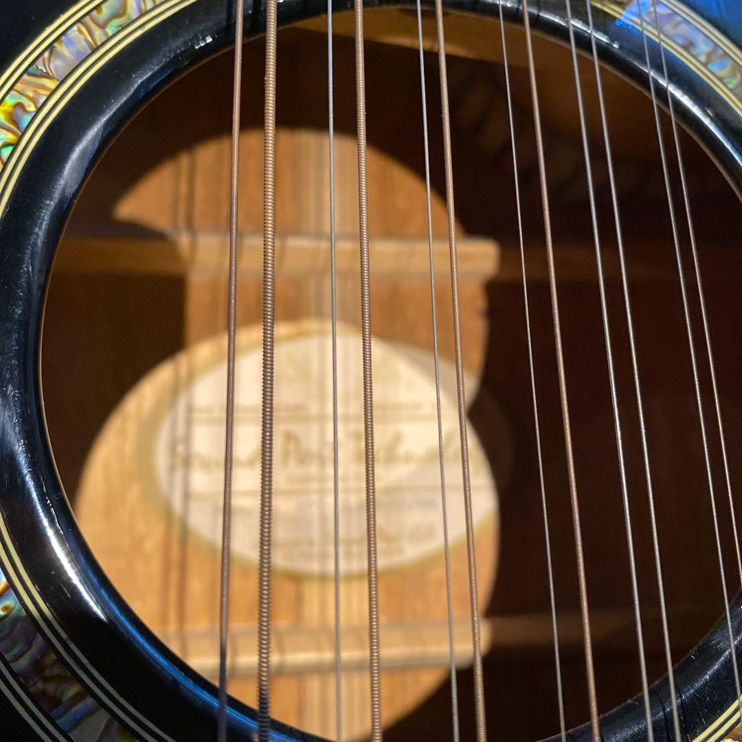 アコースティックギター12弦 SPT オマケ付き