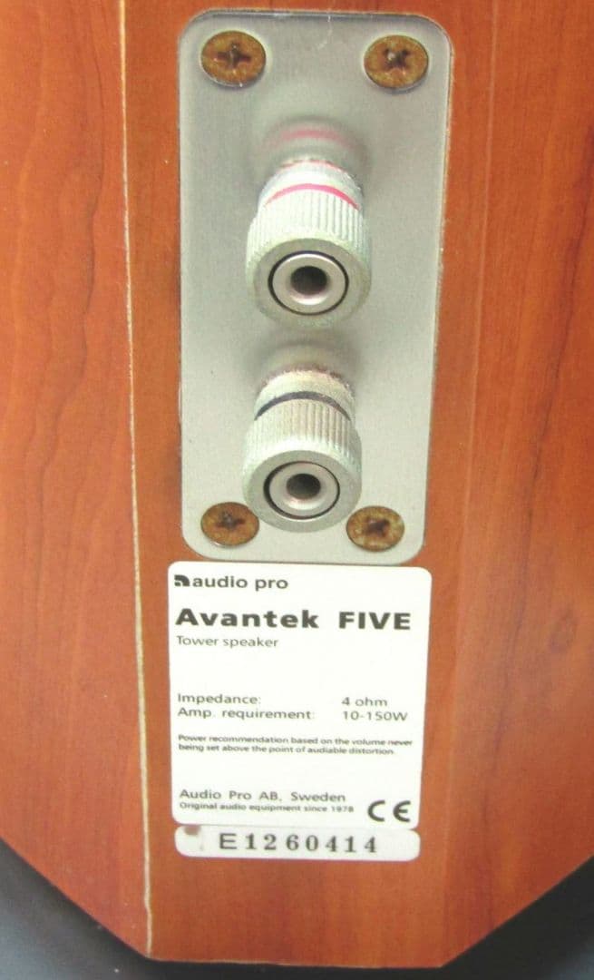 トールボーイスピーカー ペア AUDIO PRO(スウェーデン製)