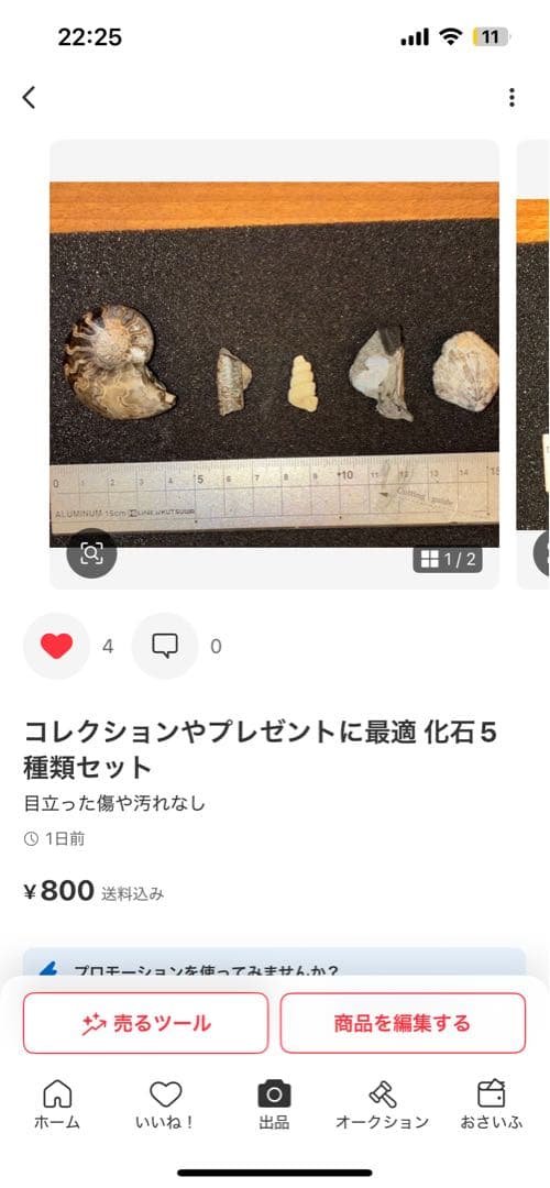 ひでさん　化石セット