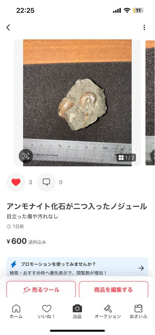 ひでさん　化石セット