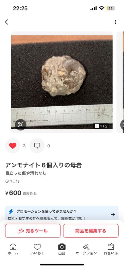 ひでさん　化石セット