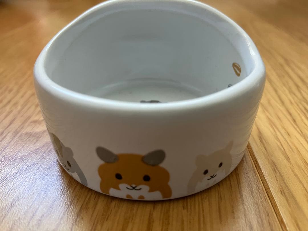 SANKOルーミィー60グランスペースクリア　その他飼育セットあり