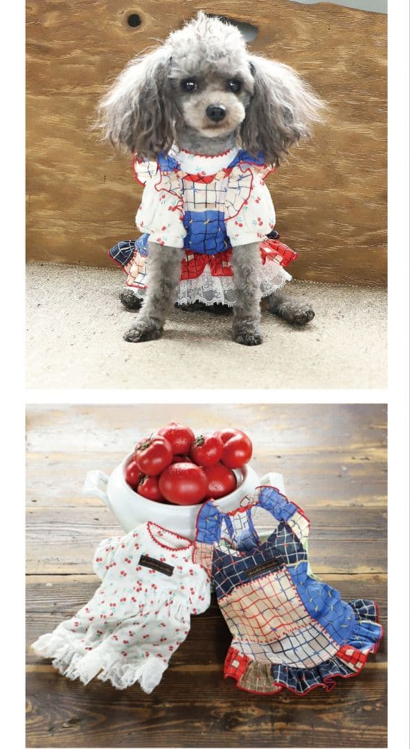 アトリエgg メアリー ナポリの娘 サイズ18