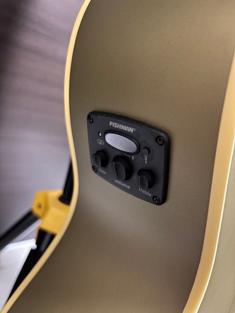 Fender Newporter Player ギグバック付