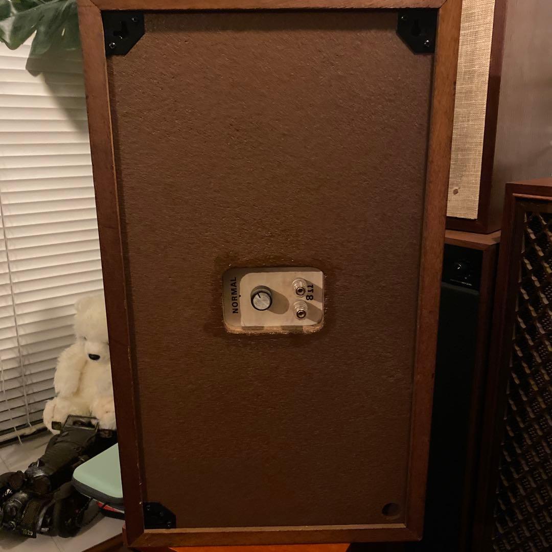 DYNACO/SCANDYNA A25 リペア品　専用