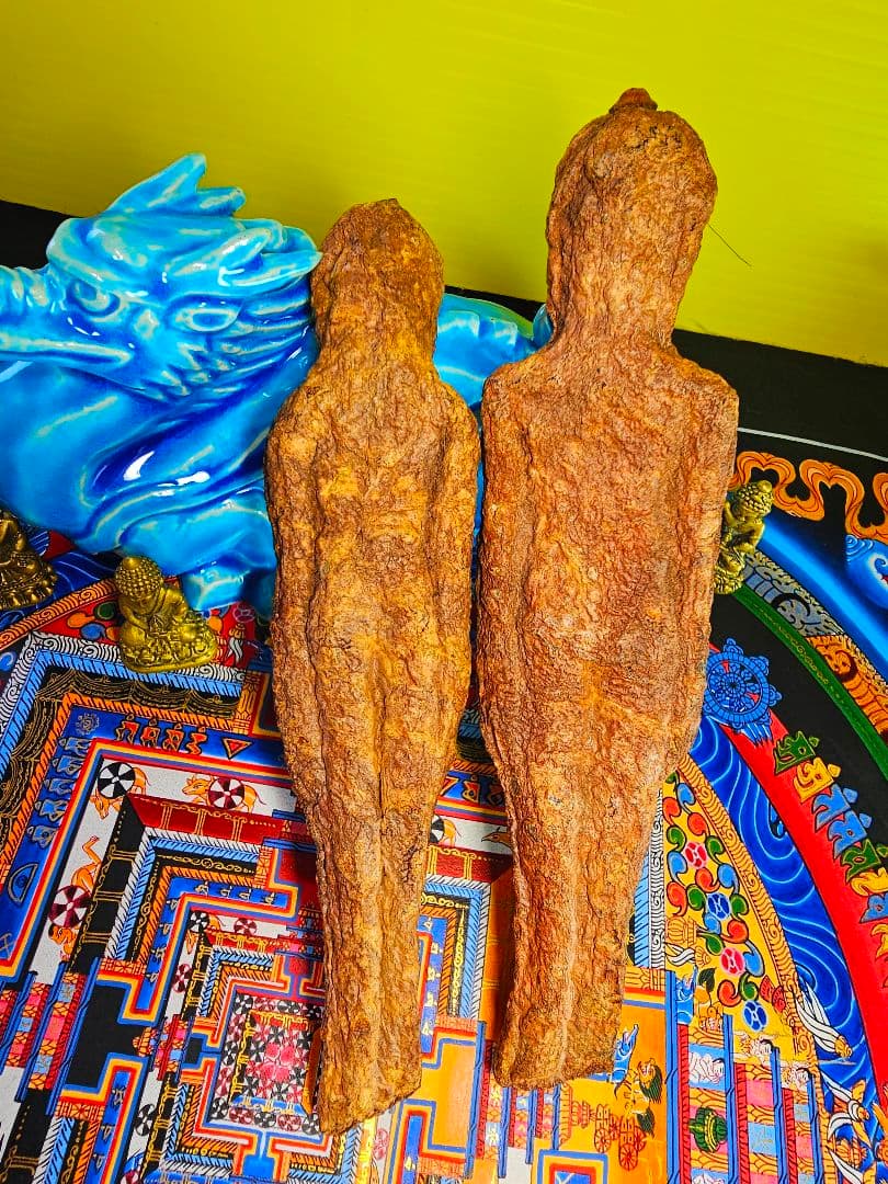 毛が生えた‼️特級呪物‼️希少‼️超特大サイズ‼️ナリーポンとマカリーポン