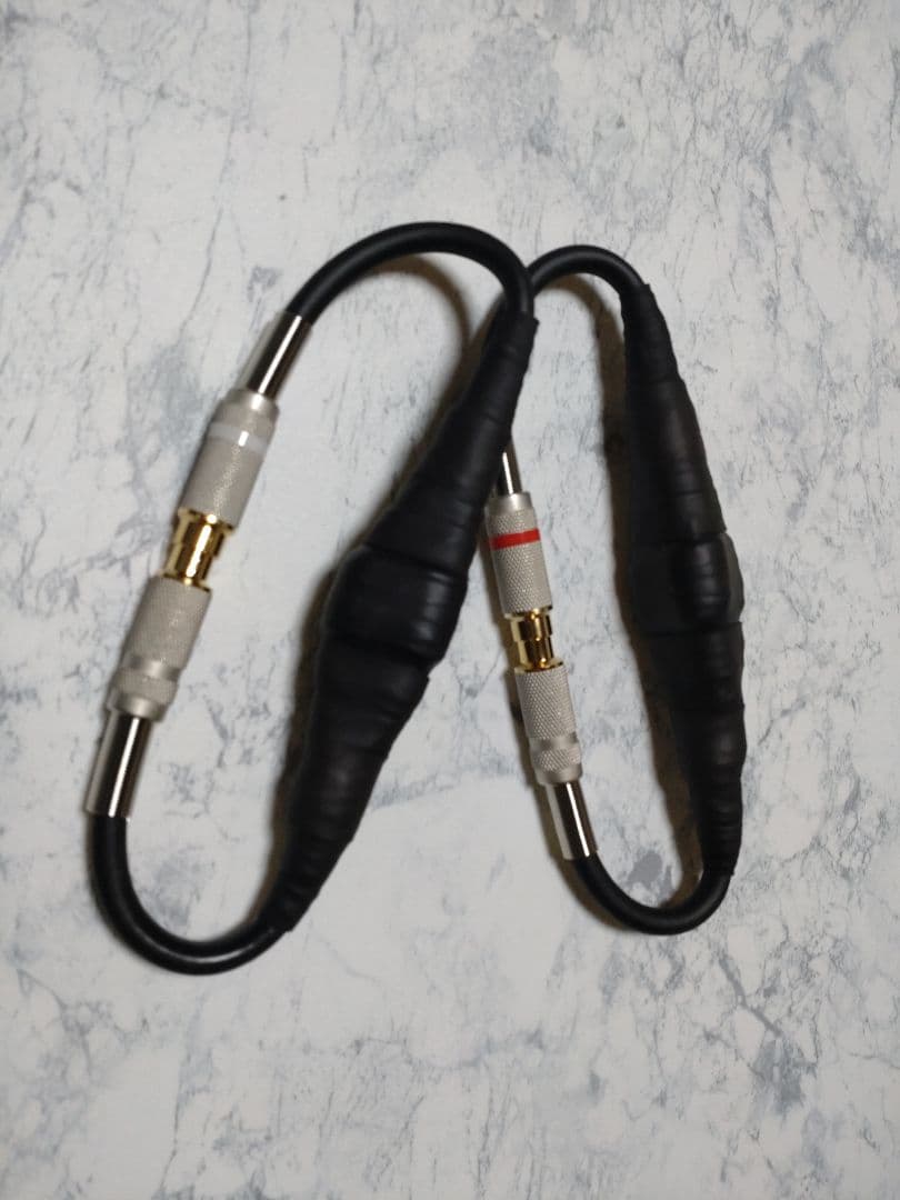 【最新作】420段式カタパルト搭載　RCA中継　38cmペア