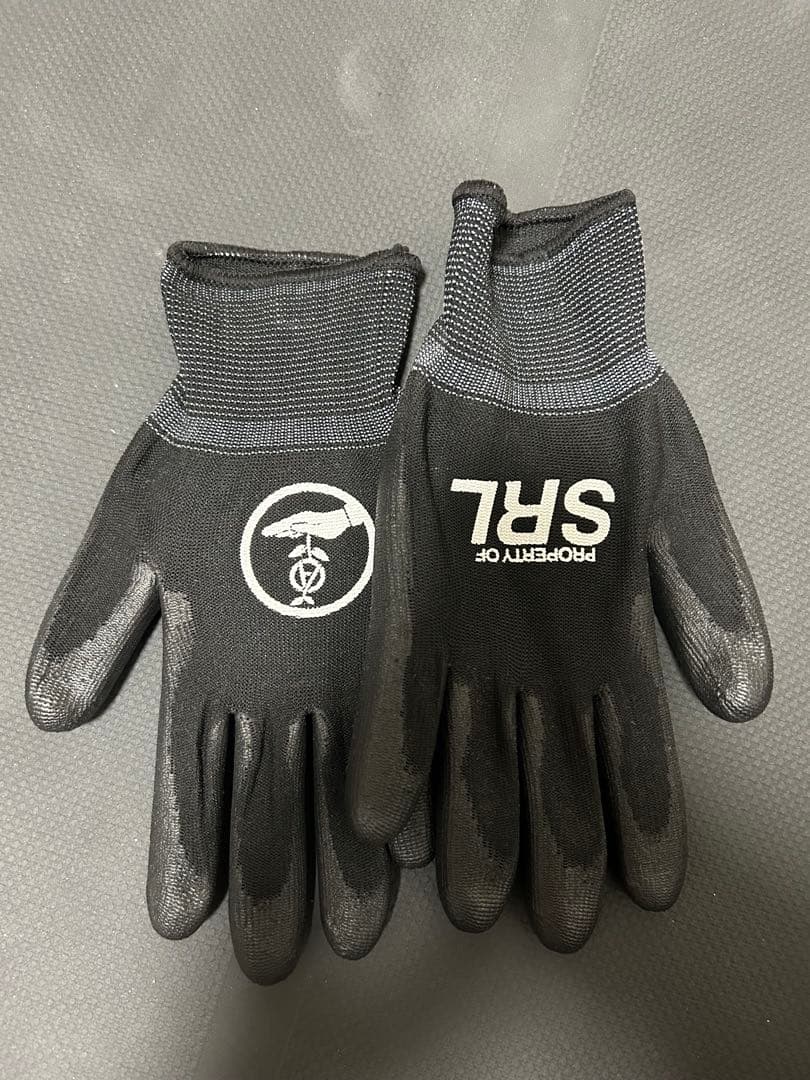 カタチ製作所　鉢セット　SRLおまけ付き　グラキリス　パキプス