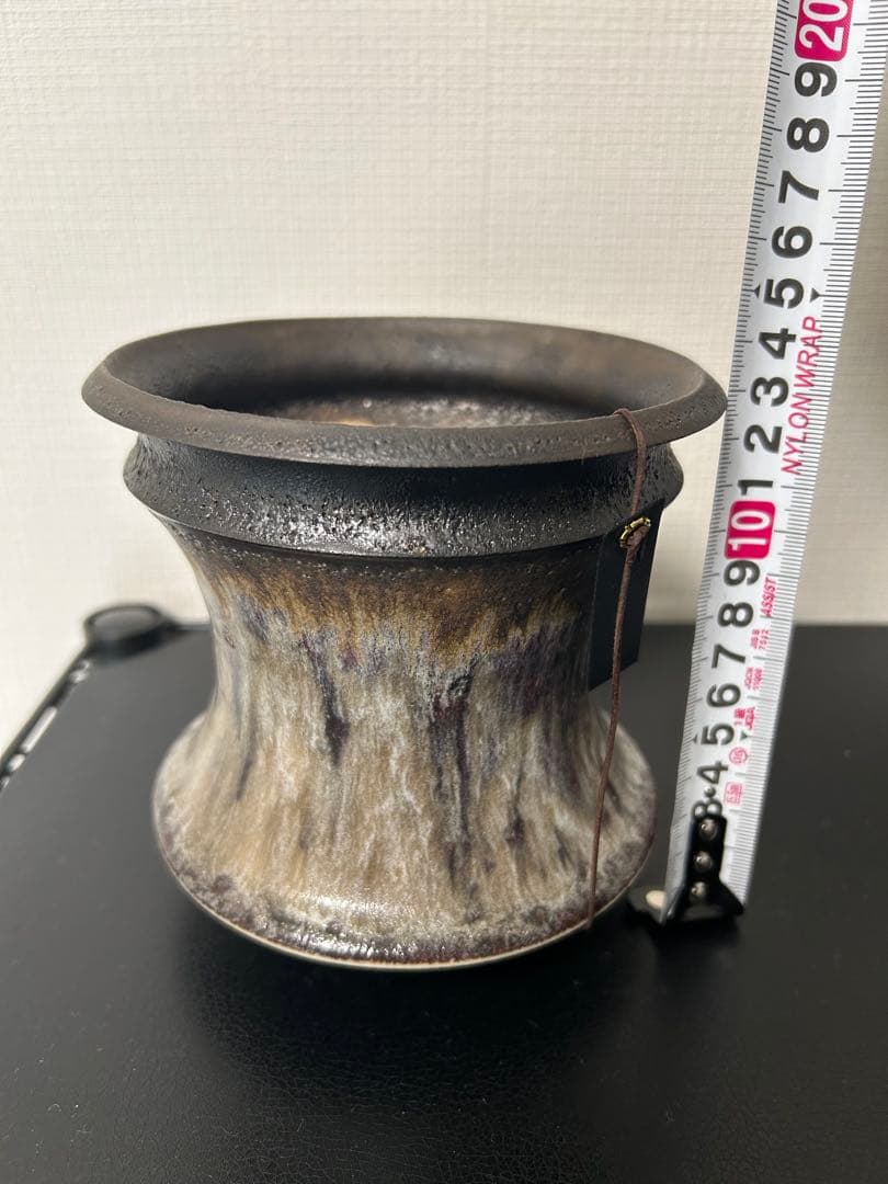 カタチ製作所　鉢セット　SRLおまけ付き　グラキリス　パキプス