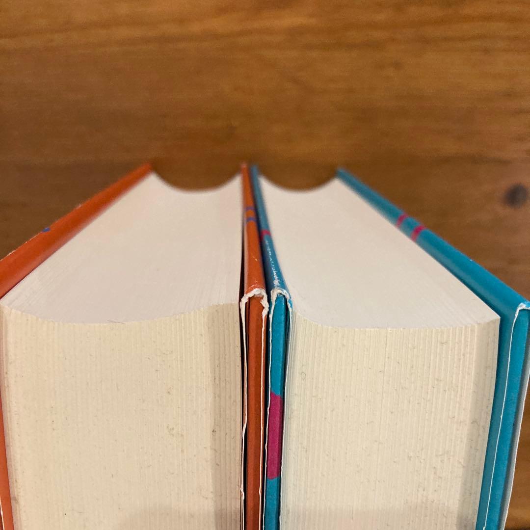 竹田青嗣『欲望論』2冊セット