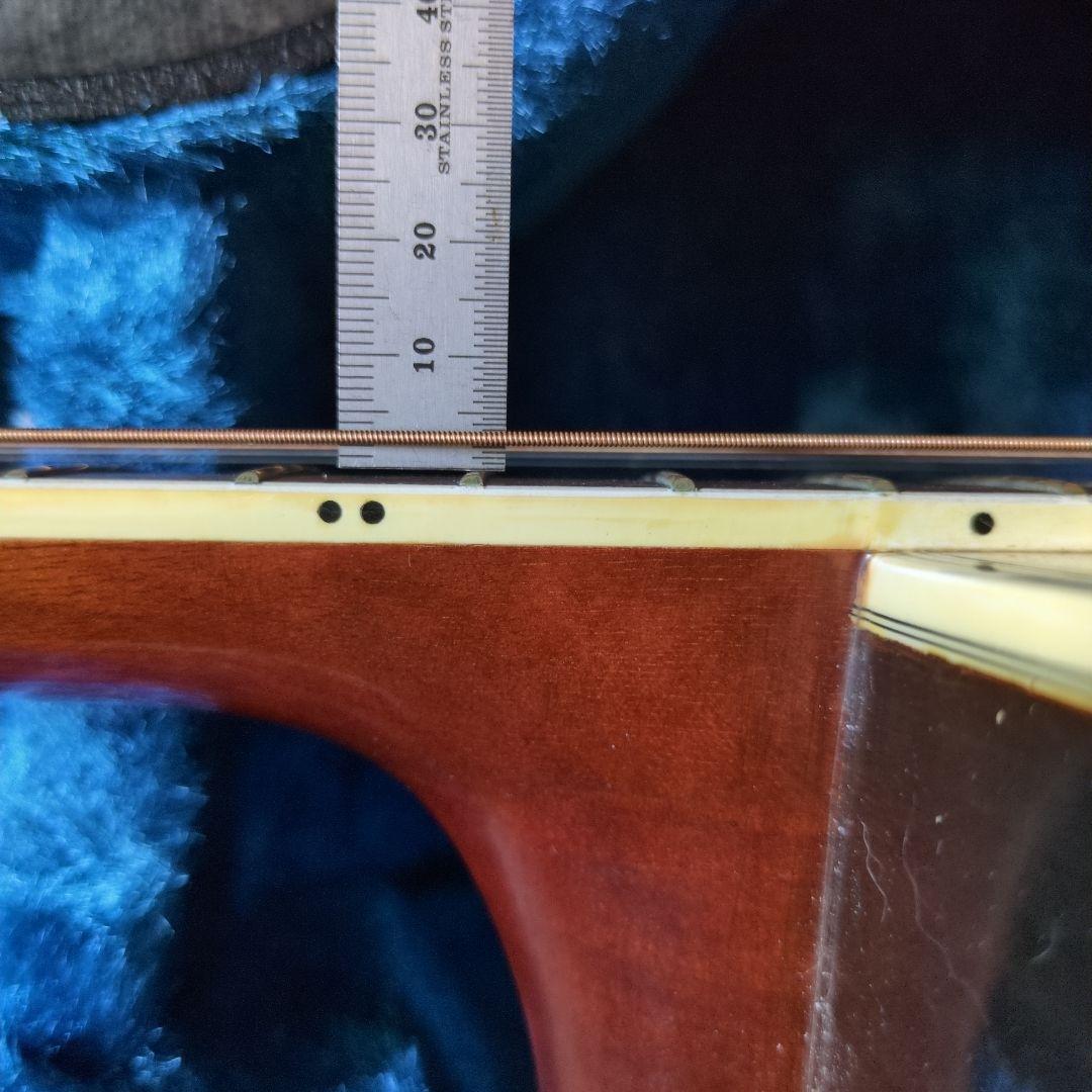 ARIADreadnought アコースティックギター