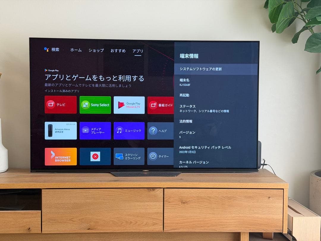 Sony 55インチ 4K有機ELテレビ BRAVIA KJ-55A8F