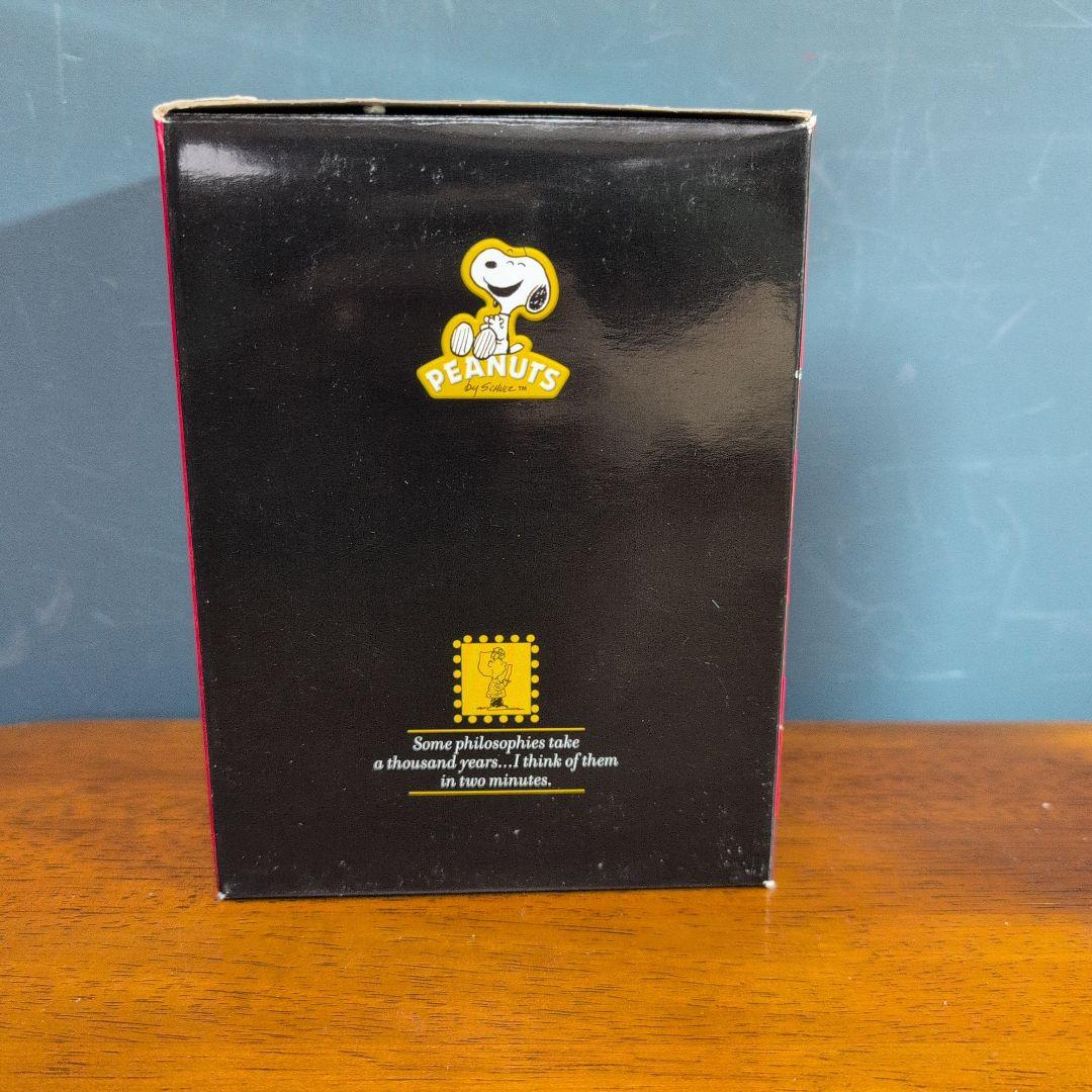 【動作確認済】チャーリー・ブラウンとスヌーピーのオルゴール