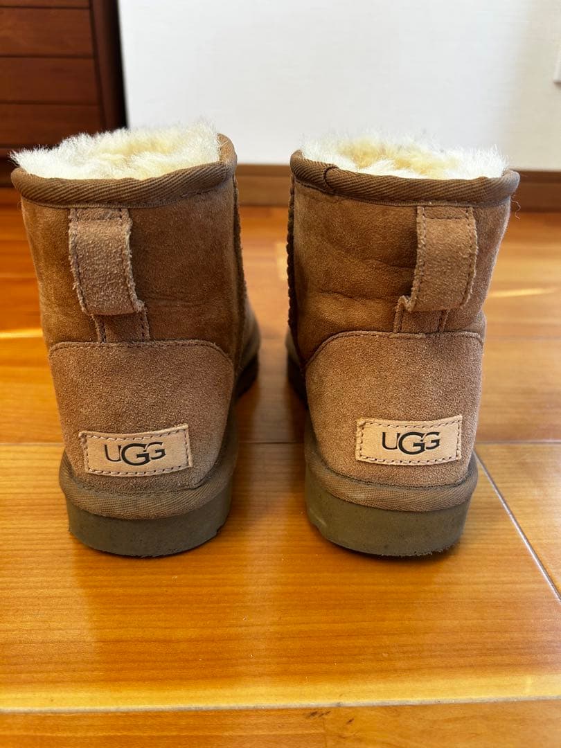 アグ　クラシックミニⅡ 23センチ　チェスナット