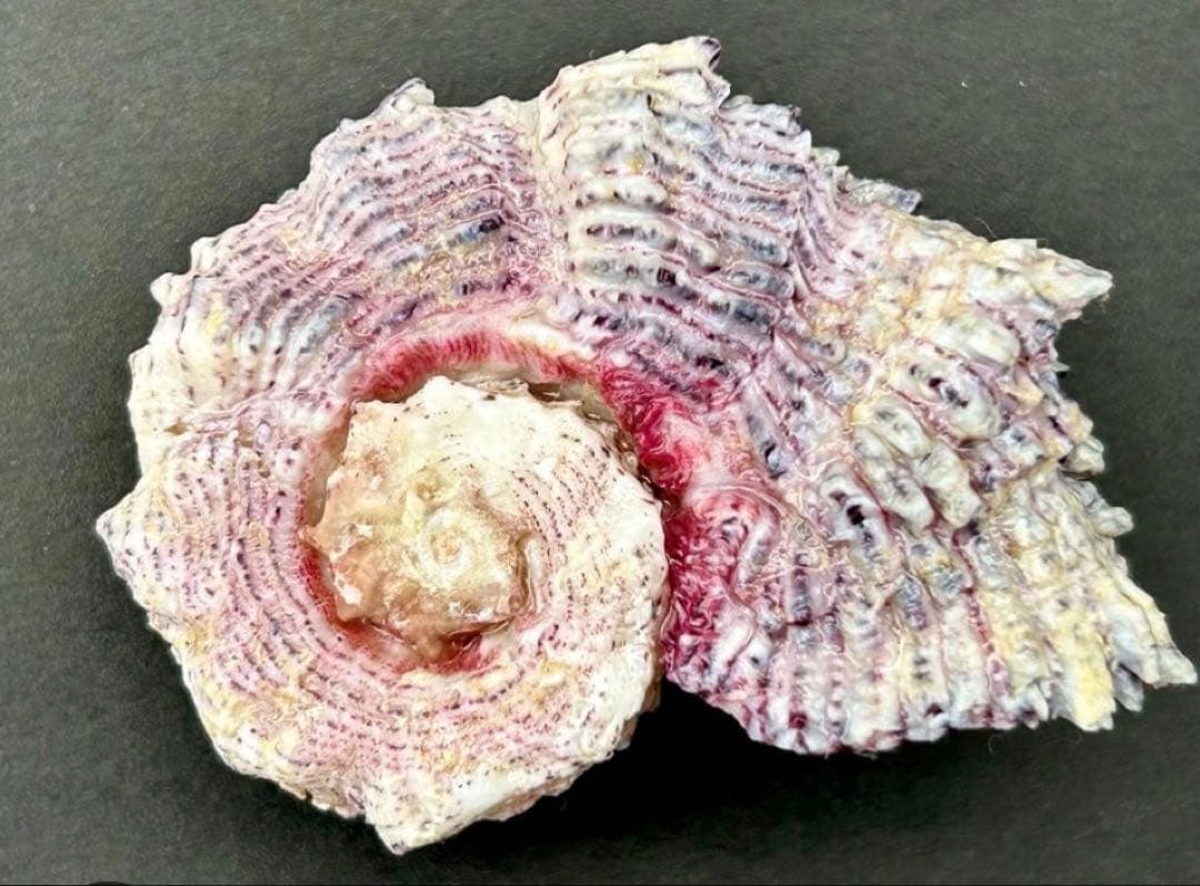 専用　まとめ11点