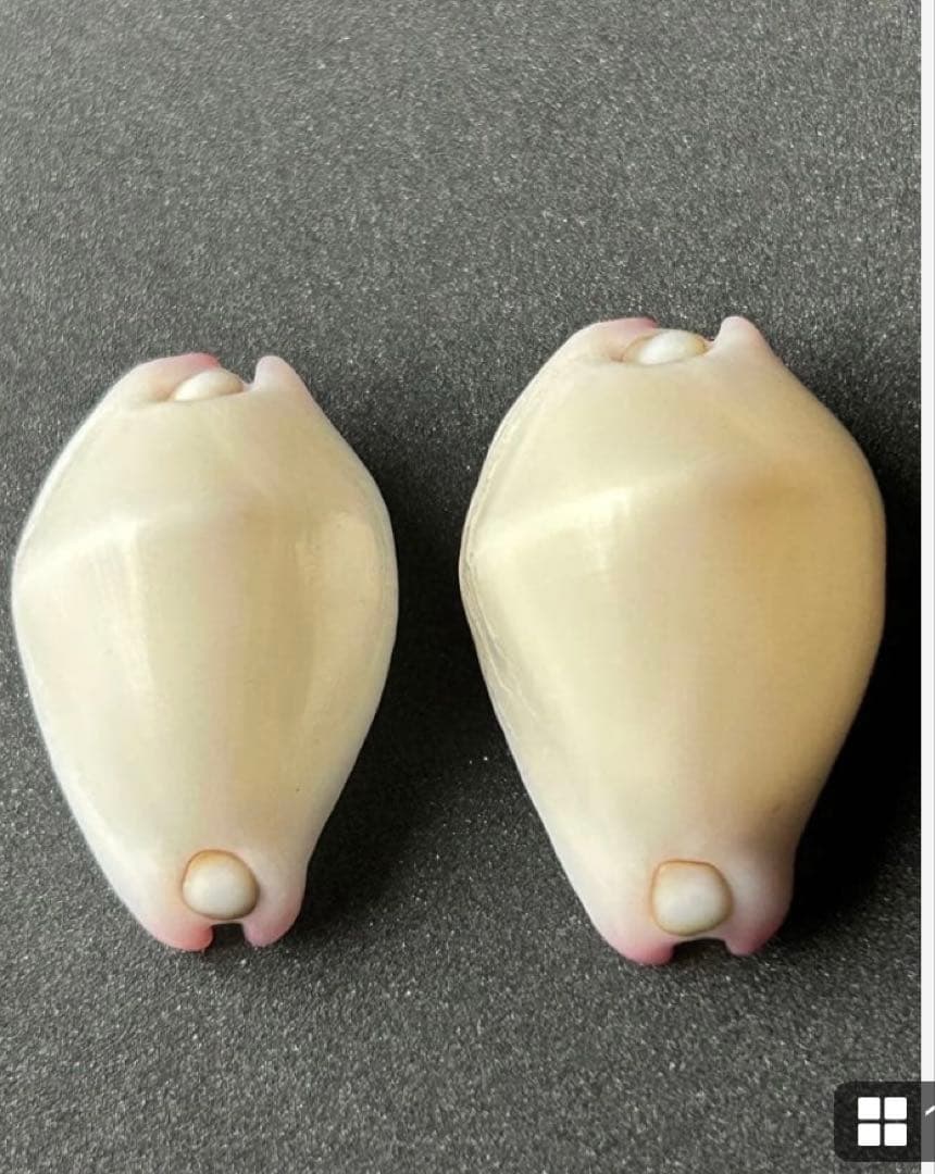 専用　まとめ11点